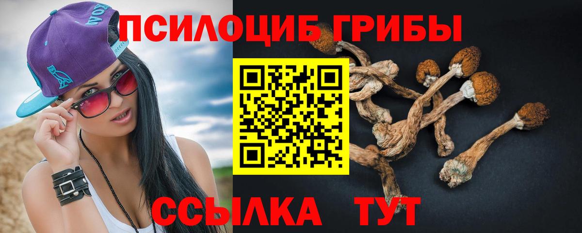 Псилоцибиновые грибы Psilocybine cubensis  Вход с VPN  Узловая 