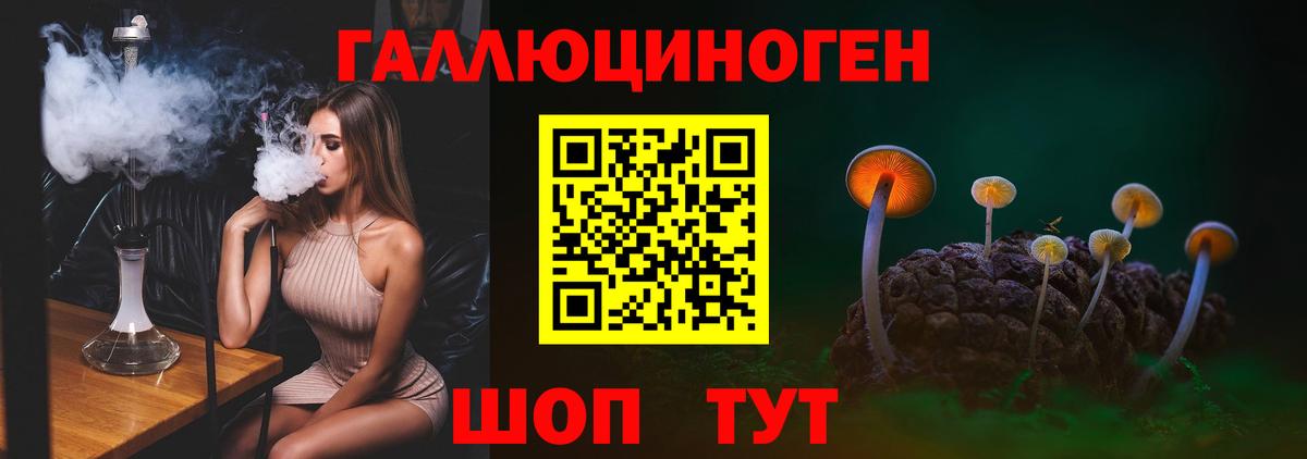 Псилоцибиновые грибы мицелий Узловая